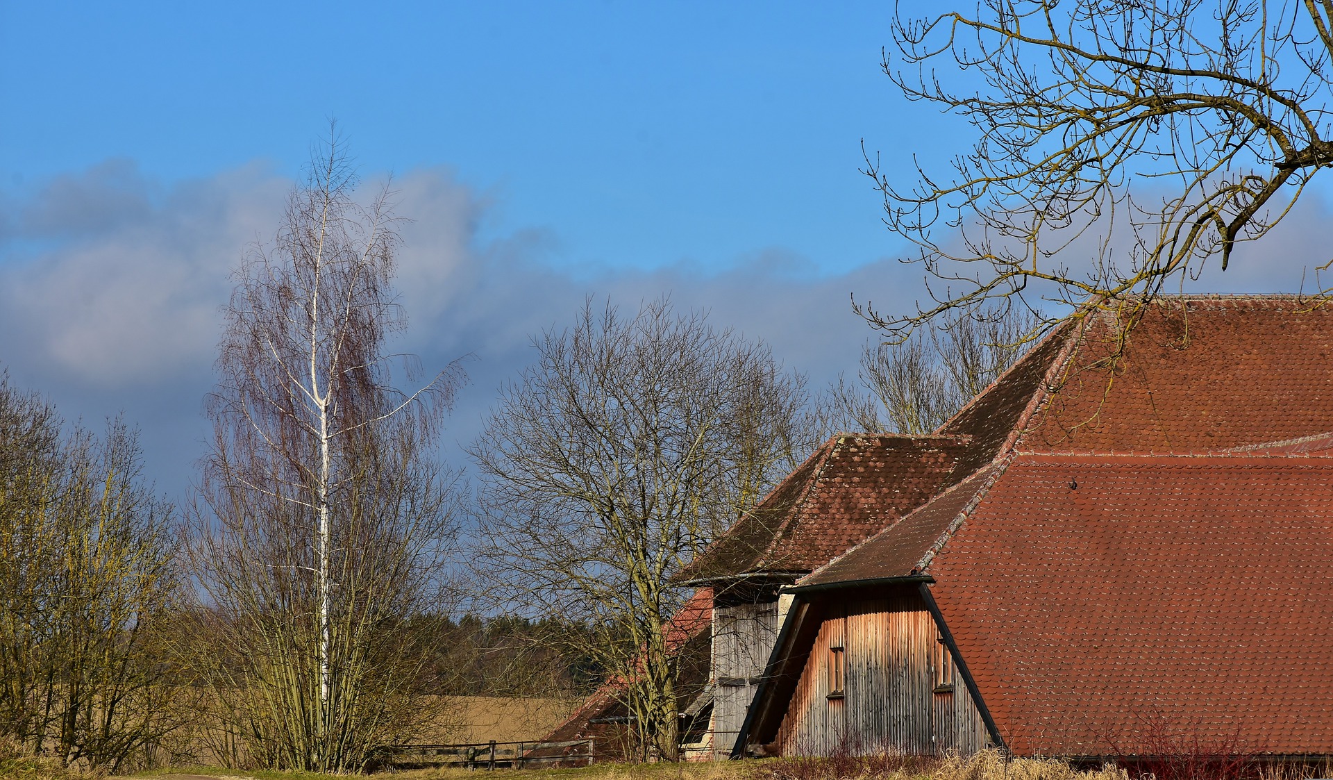 What's going on with the Homeowners Association?
