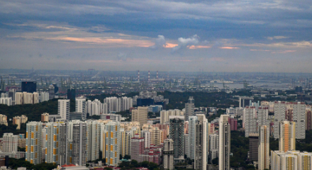banner