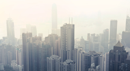 banner