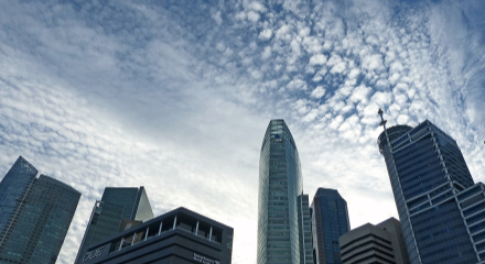 banner