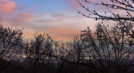 Mid-Century Glass House