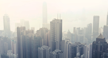 banner