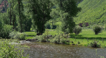 Dream home flies off the market