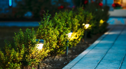 Simple landscaping tasks can maximise the value of your home